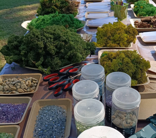 Piante e decorazioni botaniche per gli ambienti
